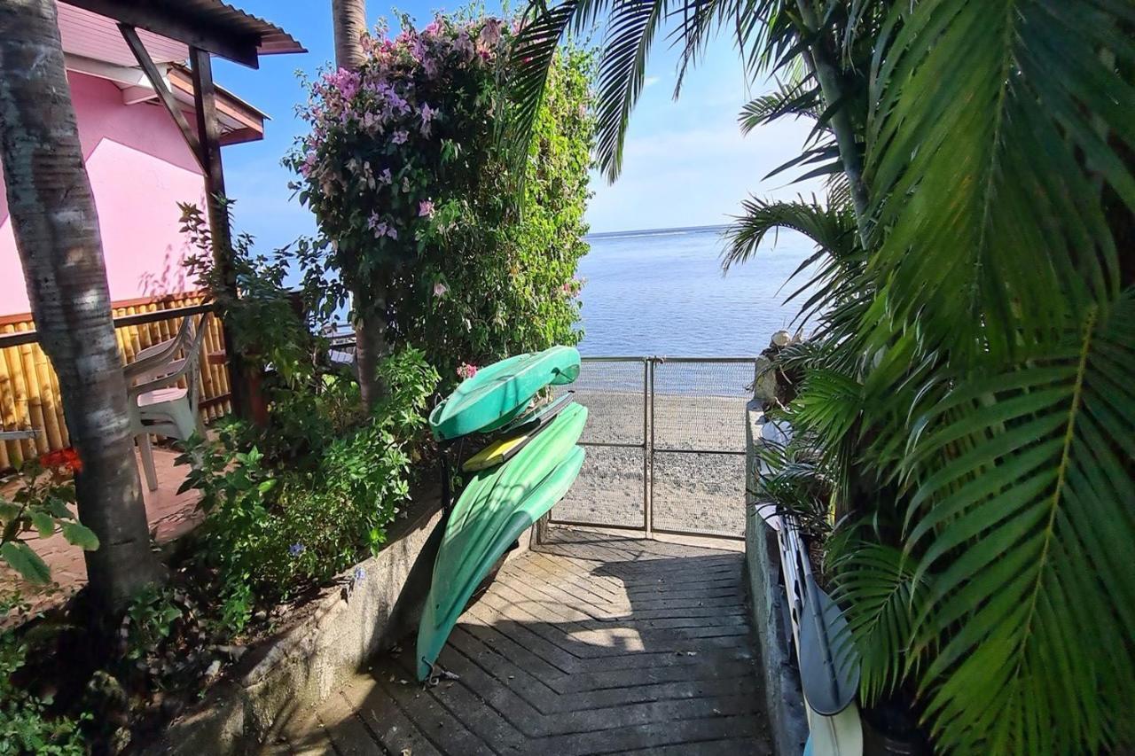 La Maison D'Artiste Du Bord De Mer Pa'ea Dış mekan fotoğraf